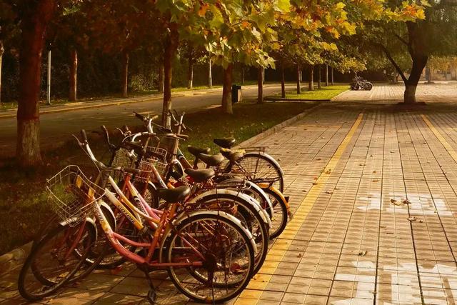 山西师范大学和临汾师范一回事吗,临汾师范大学现状