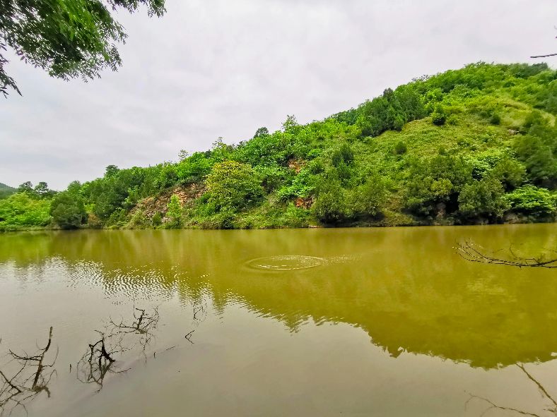 西安洪庆焚书坑儒,洪庆山焚书坑儒