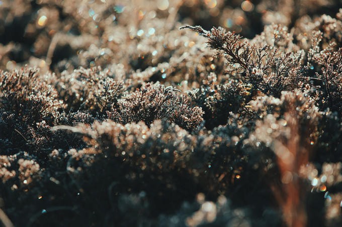 自驾呼伦贝尔|七千里路云和月,写给秋天和自己的故事