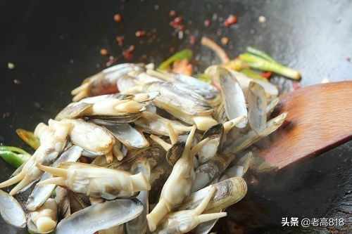 今日北塘海鲜,北塘海鲜扬帆起航