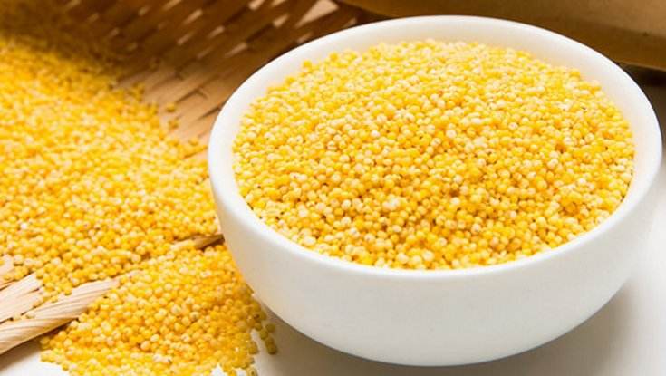 减肥吃什么米当主食,减肥主食食谱一览表