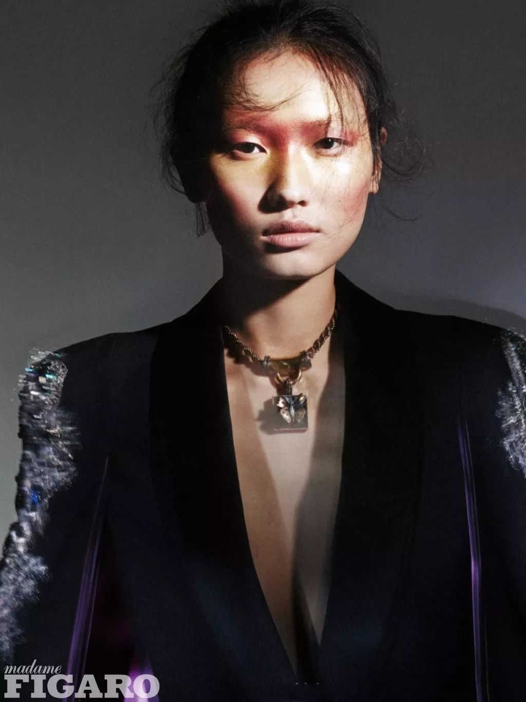 国际超模刘雯何穗,何穗刘雯谁的出场费高