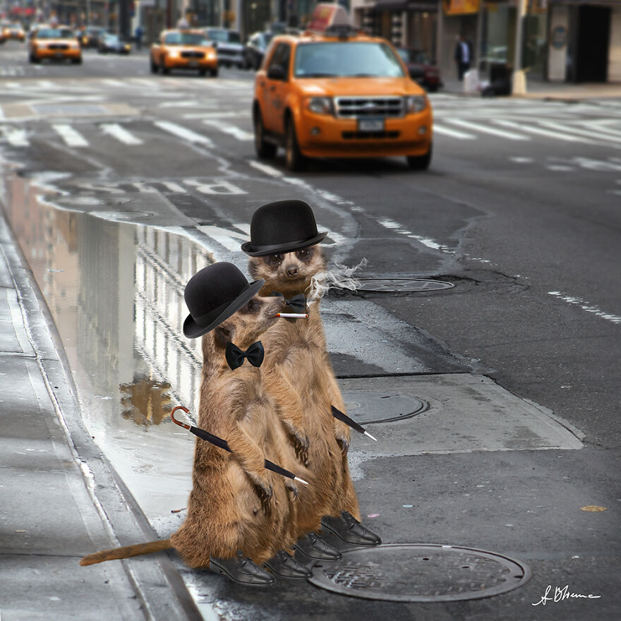 创意ps合成视频大全,ps教程创意合成脑洞大开海报教程