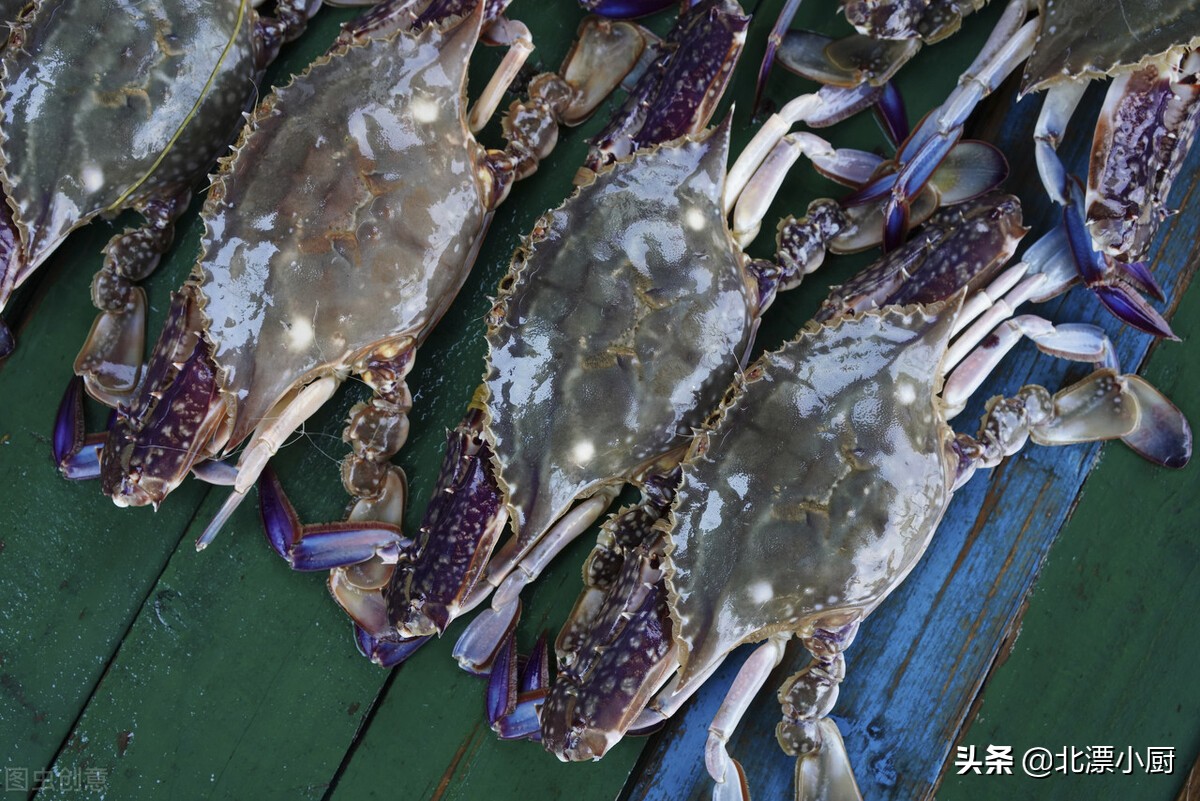 买梭子蟹时掉腿好吗,顶盖肥的梭子蟹多少钱