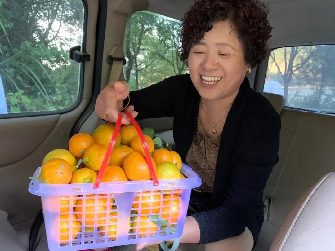 “blingbling”,黄得可爱的橘子可以从8月摘到来年2月!淳安中联村:临湖民宿处女地,甜甜蜜蜜看湖景