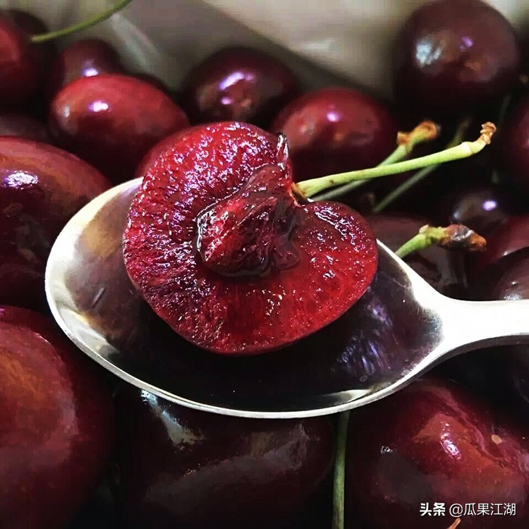 猕猴桃奇异果菠萝凤梨,菠萝与凤梨樱桃与车厘子有何区别