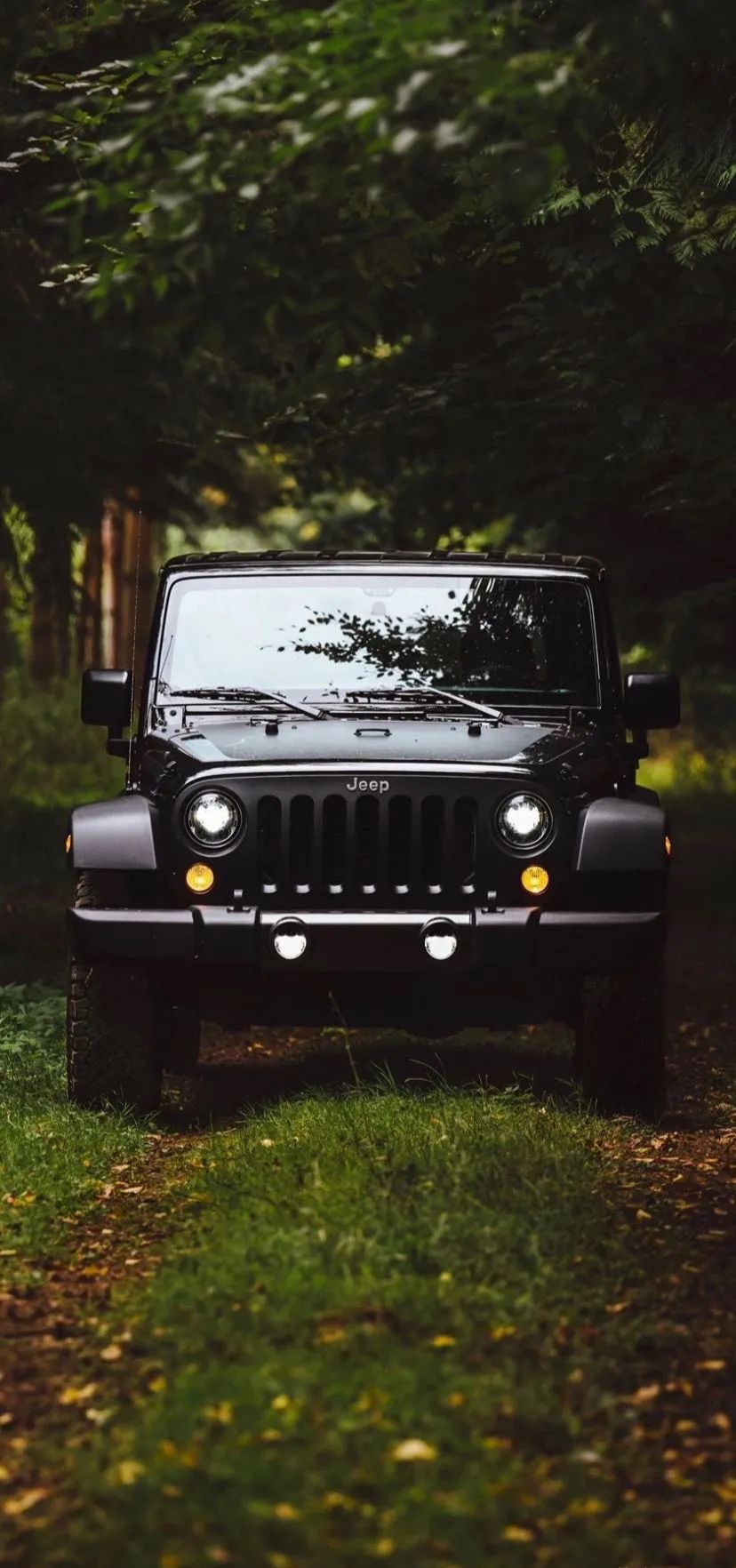 牧马人壁纸4k超清全面屏,牧马人壁纸全屏越野车男人专用