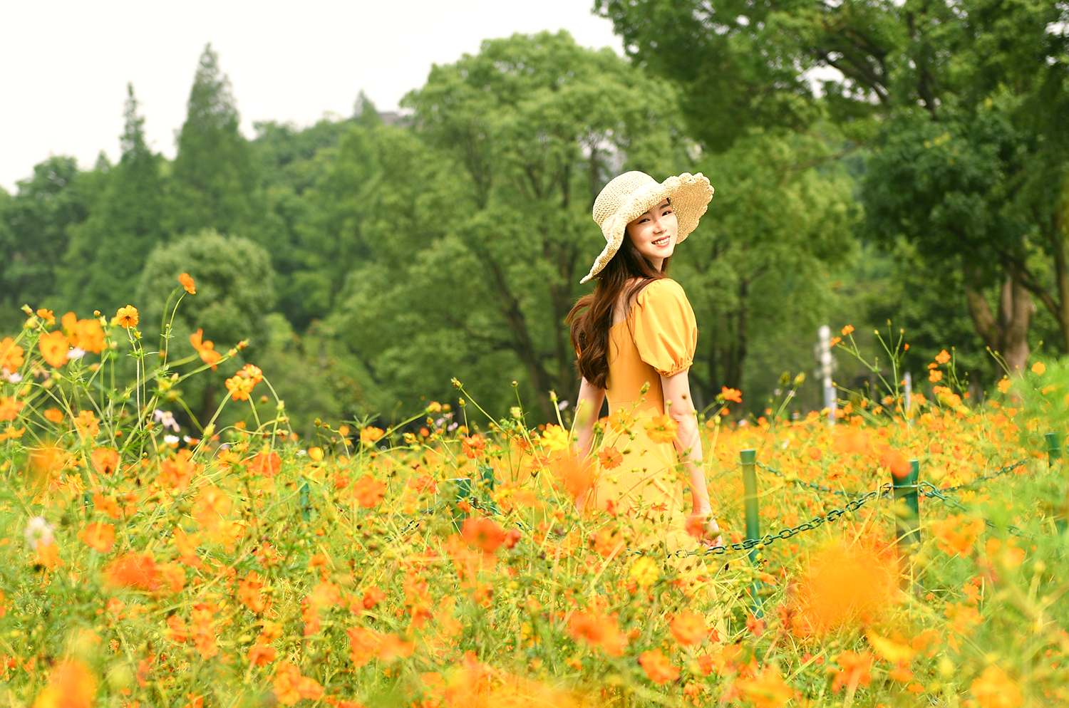 黄橙绿颜色的手账,夏天色彩手账图片