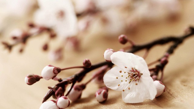 增强自己信心的励志句子，句句充满哲理，送给孤独的自己