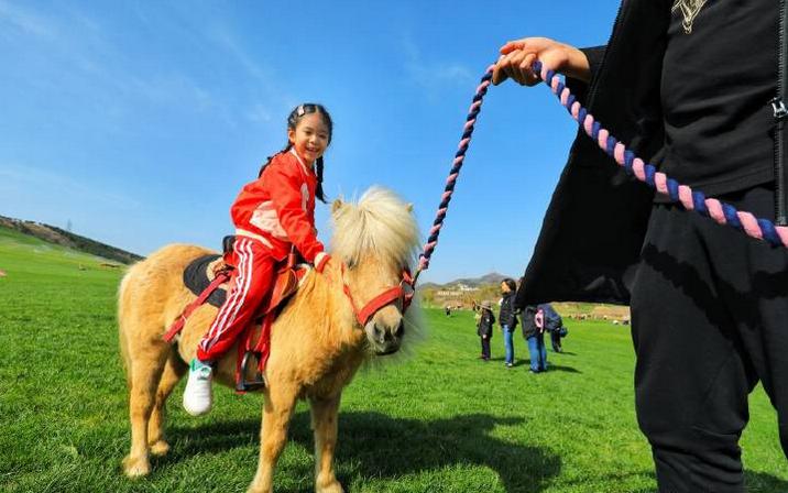 超长记录亲子牧场一日游,暑期草原亲子游攻略