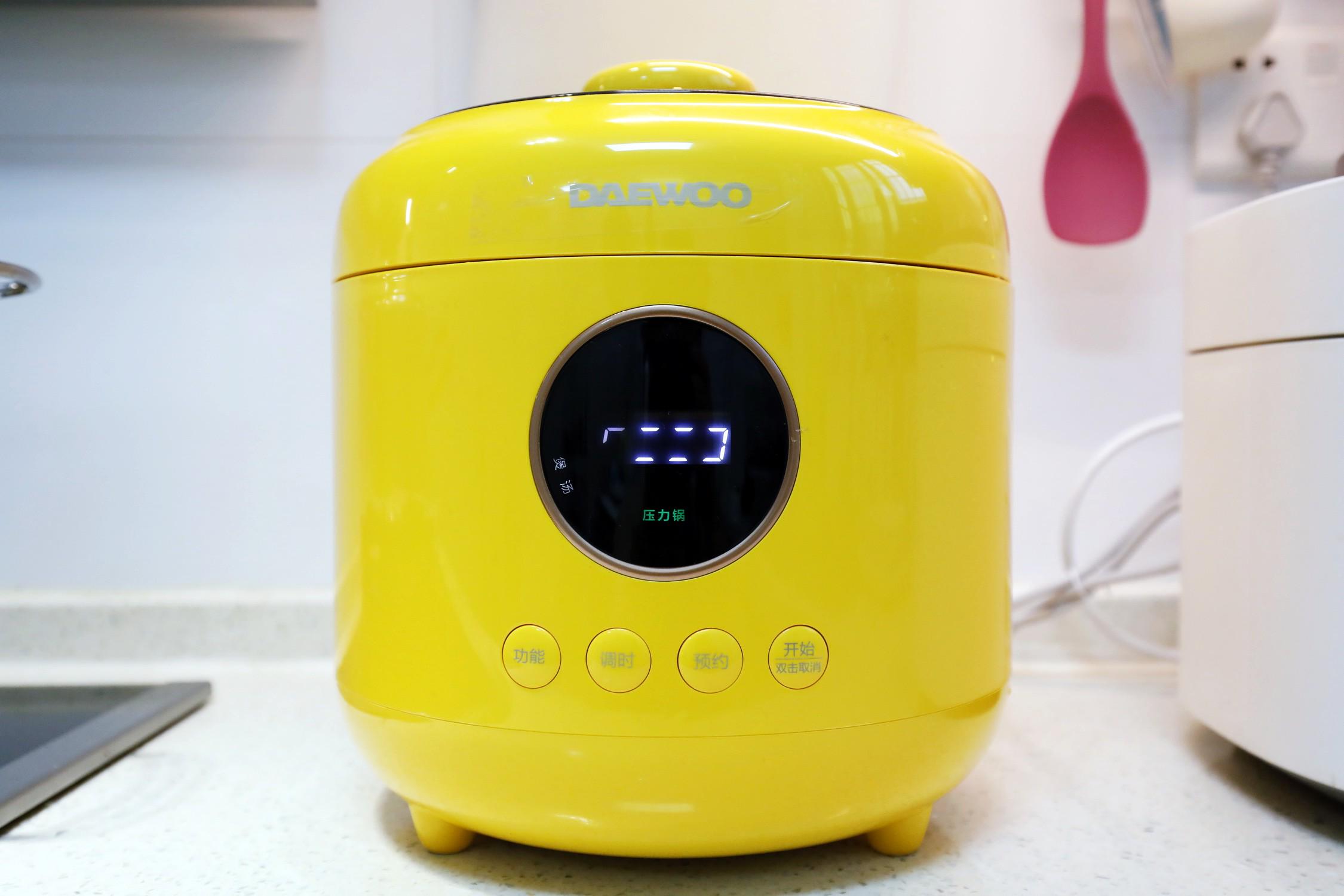 蒸煮两用电压力锅哪个牌子好,家用压力锅和微压锅哪个好