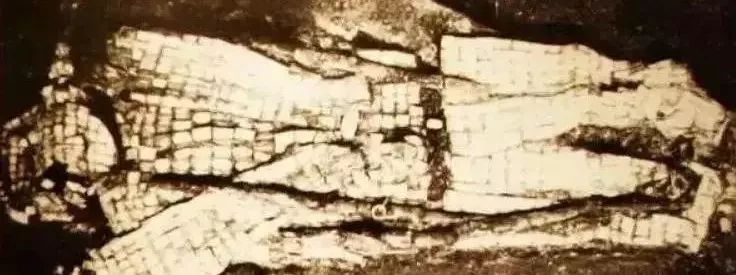 颤抖吧凡人全文,颤抖吧凡人的视频