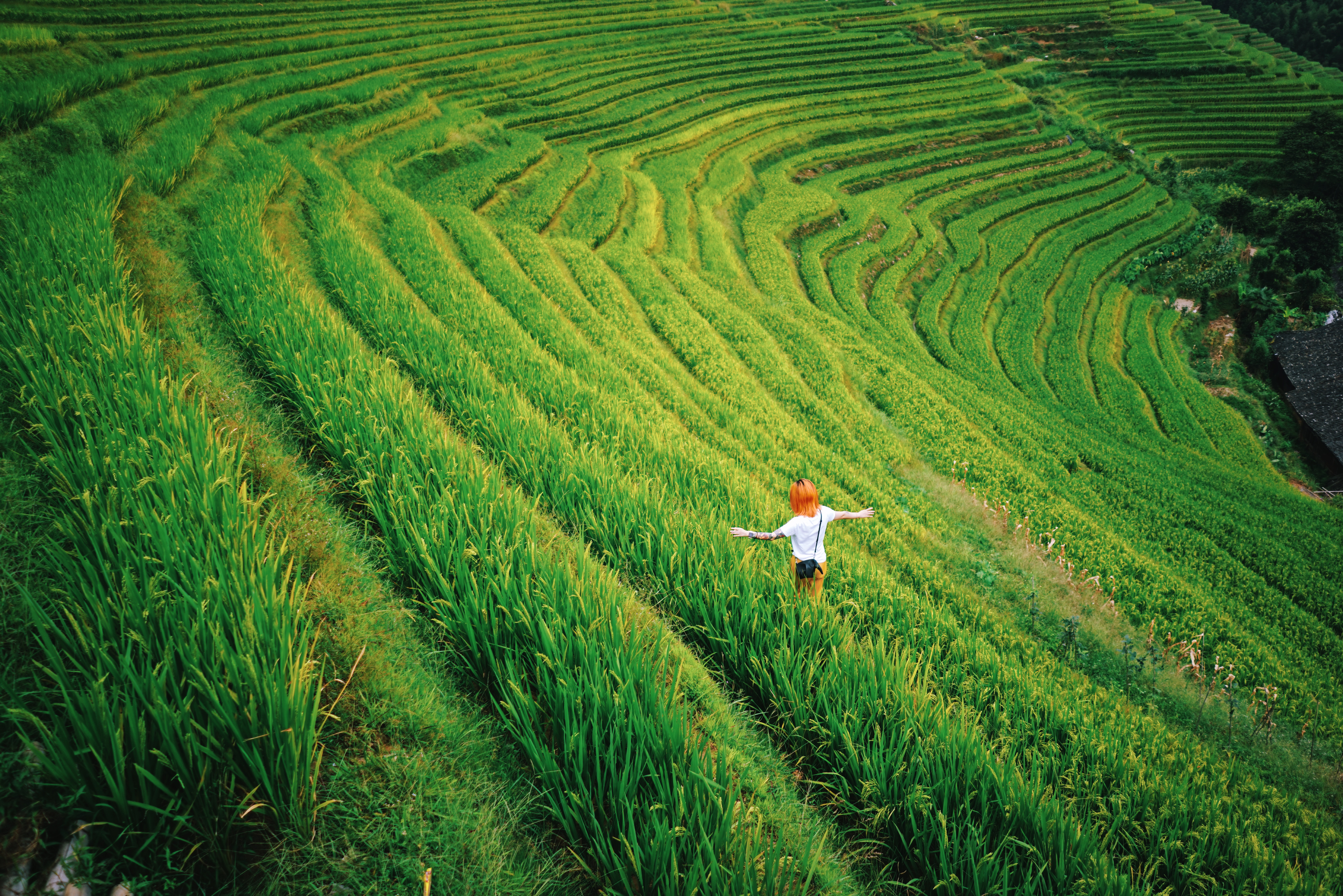 桂林阳朔旅游攻略自由行最佳线路,阳朔到桂林山水