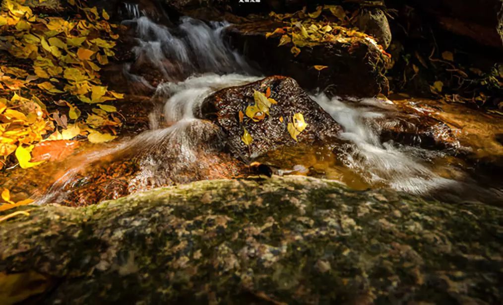 推荐成都周边亲子滑雪泡温泉,成都附近既能滑雪又能泡温泉