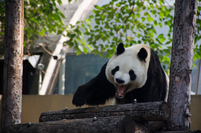 立场不同，请不要随意指责