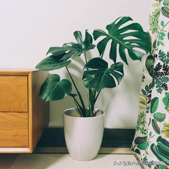 装修有甲醛的危害有哪些,装修有甲醛会影响入职吗