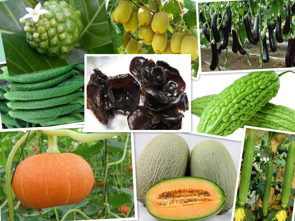 世界上最脏的水果排名,世界十大最脏蔬果