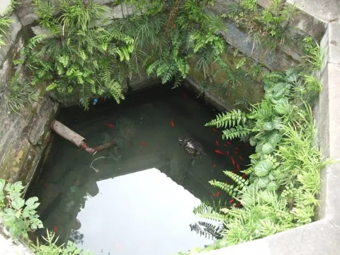 娌冲崡鍗楅槼鍗冨勾鍙ゅ,鍗楅槼瀵哄簷椋庢櫙