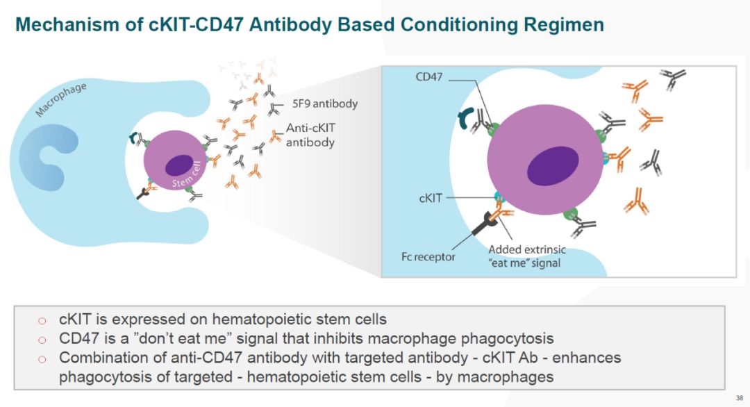 car-t免疫疗法治疗哪些癌症,car-t疗法最新临床试验