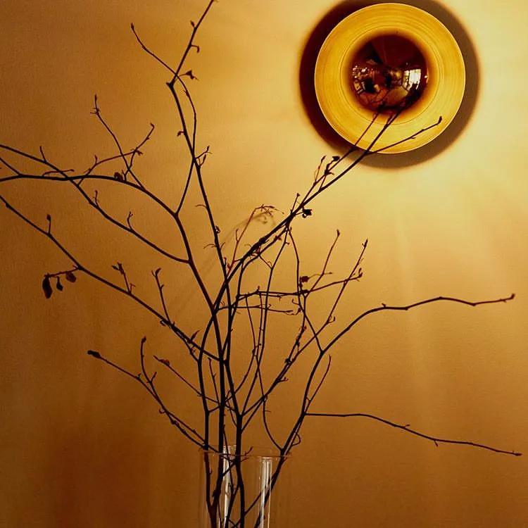 只卖6款，且无蛋糕柜的东京人气夫妻店！