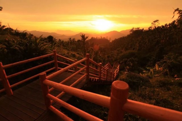 去三亚不知道去哪里玩的看过来,三亚旅游去哪个森林公园比较好点