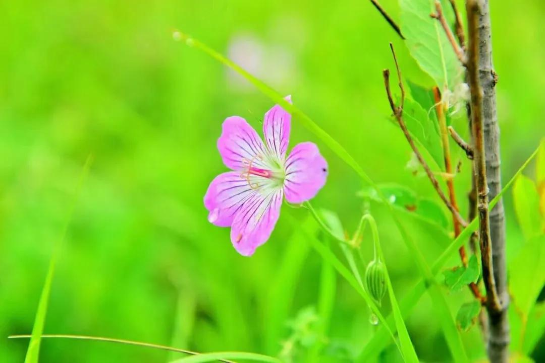 自律是品质还是性格,自律是一个人最高级的