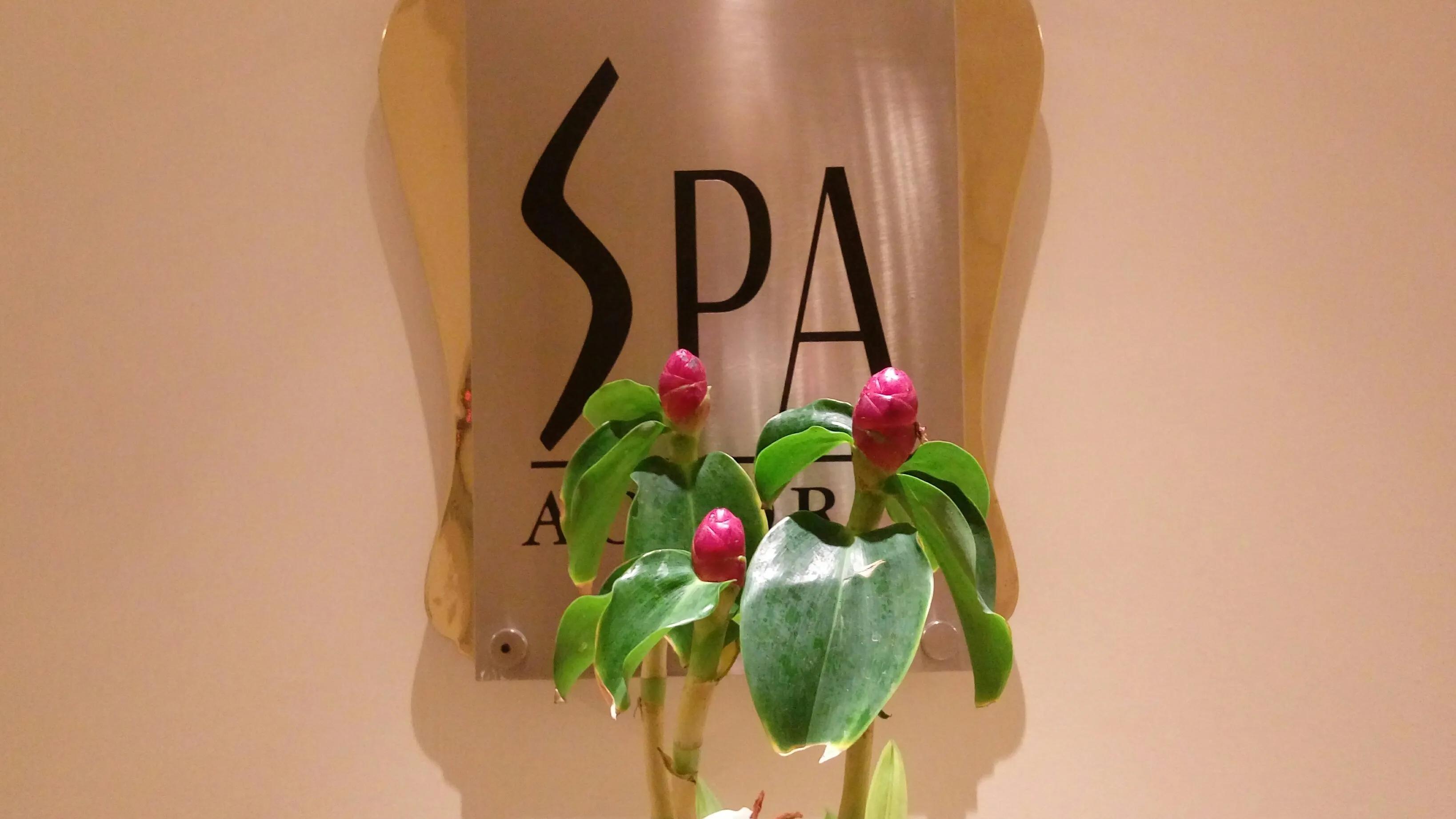 你所不知道的酒店,印度顶级酒店在哪里