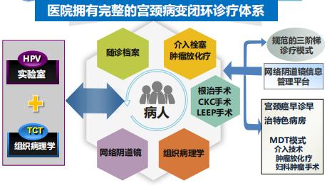 瀹涓撲笟闂ㄨ瘖,鏃ョ収甯備汉姘戝尰闄骇绉戝棰堢幆鎵庢湳