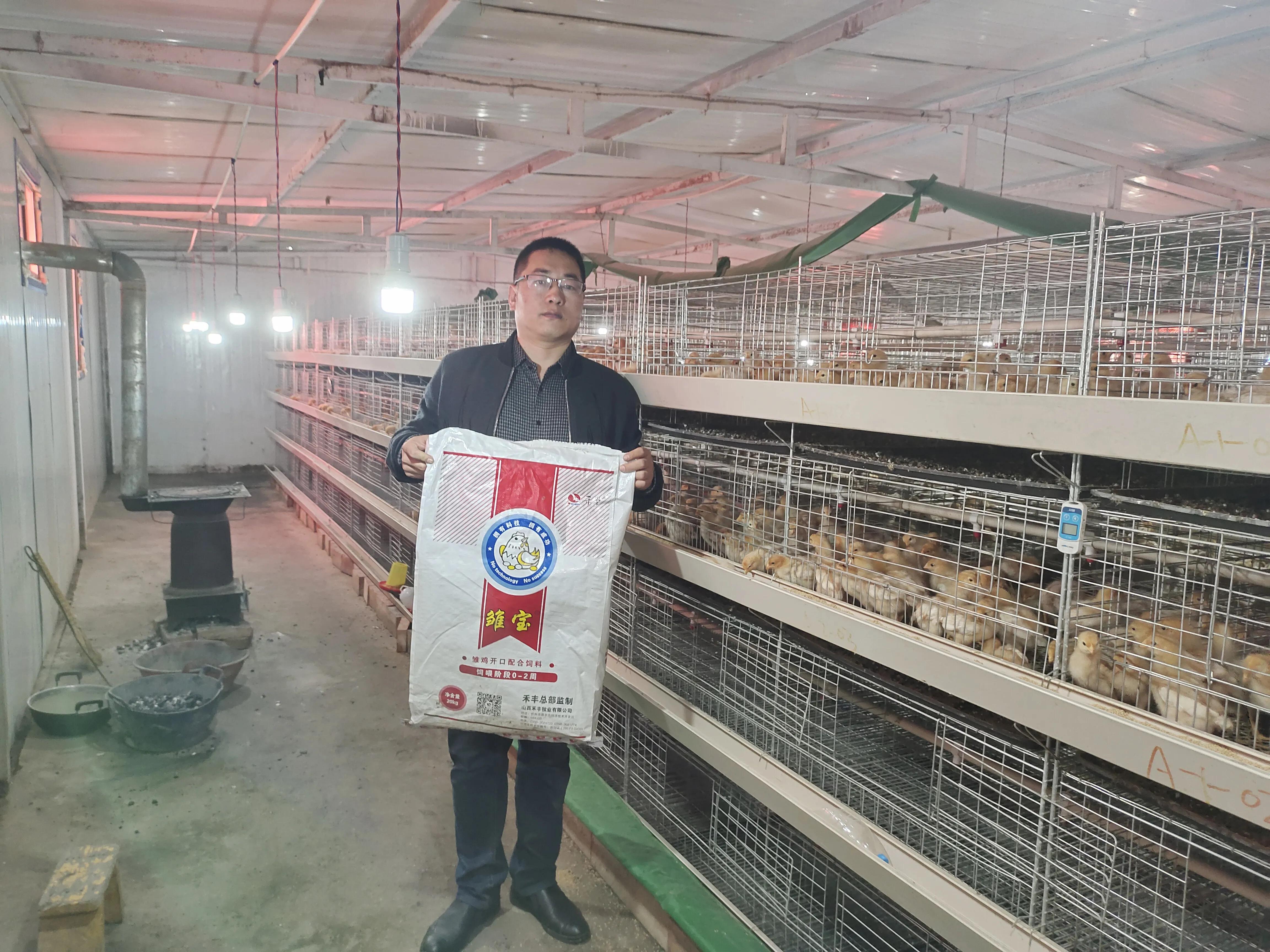 霉菌毒素对鸡场危害的条件,霉菌毒素对鸡肠道有影响吗