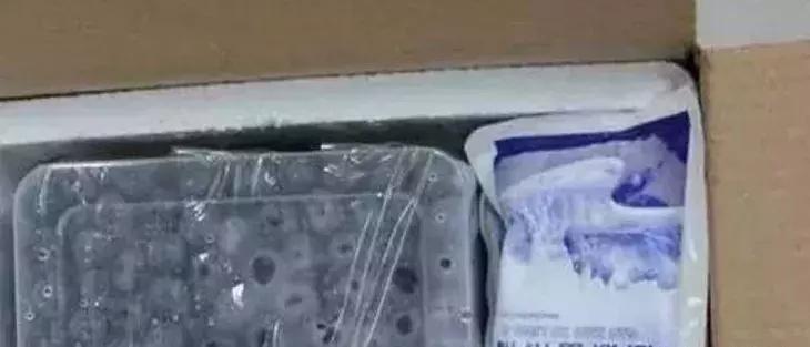 水果运输包装需注意什么,水果发快递包装规范