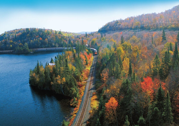 中国大豆进口情况新闻,中国进口大豆消息