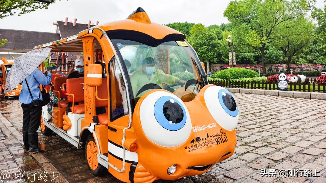 上海野生动物园攻略，一个适合亲子游玩的地方