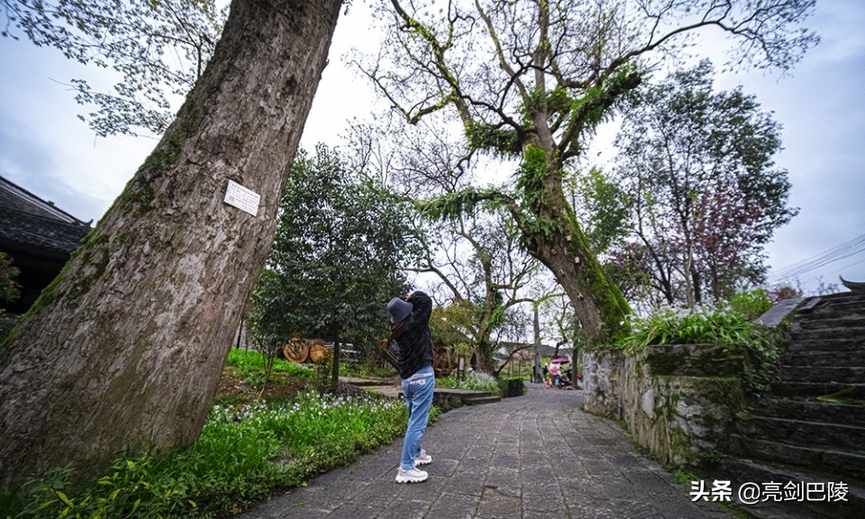 湖南省美丽乡村怀化名单,湖南怀化新晃最美乡村