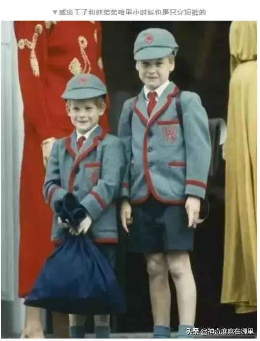 带货小王子,带货的小王子