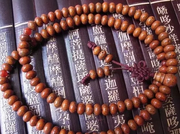 星月保养放冰箱,星月的维护保养