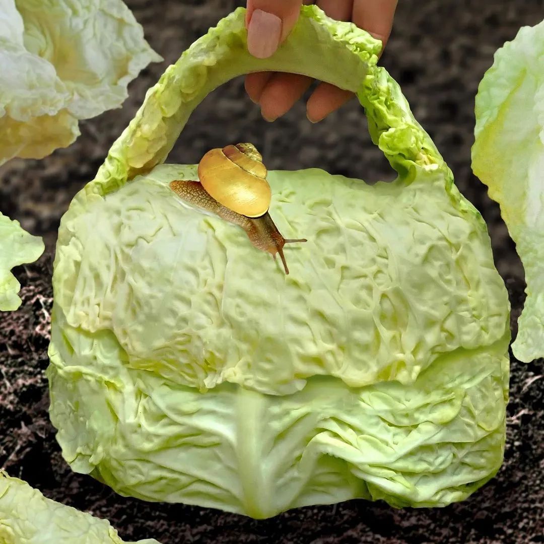 有点诱惑！外国美女设计师拍的“人体”艺术，够大胆，脑洞大开