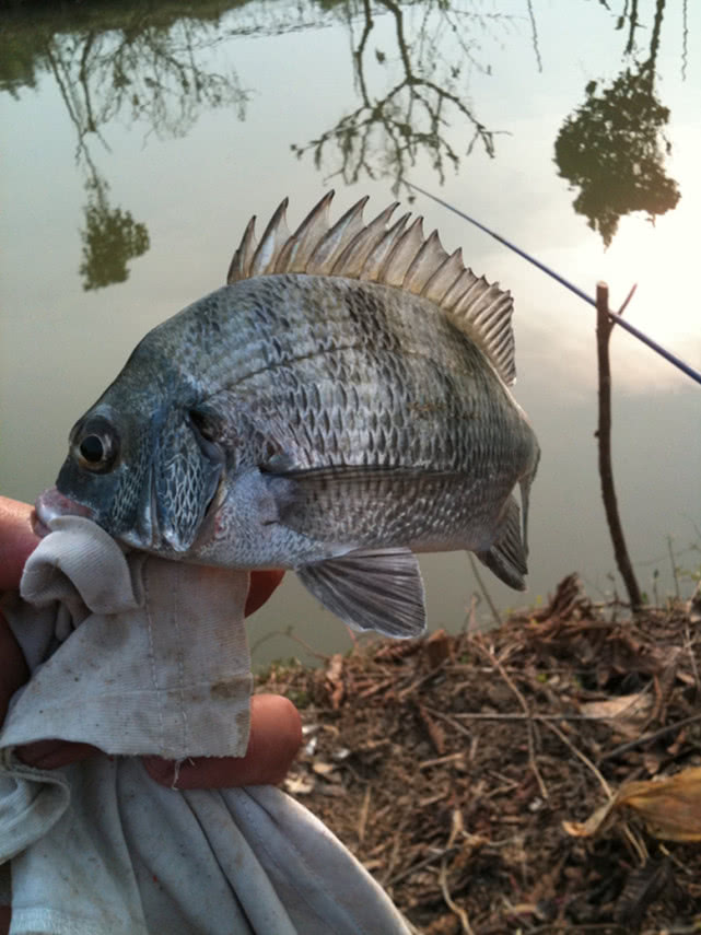 外国人用奇葩假饵钓鱼,国外钓鱼用什么假鱼饵好