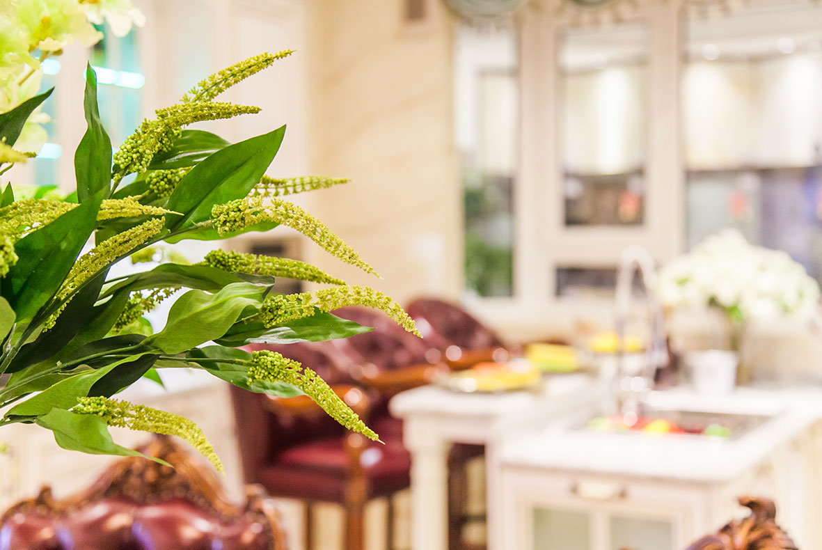 乐豪斯装修风格,德国豪斯风格装修