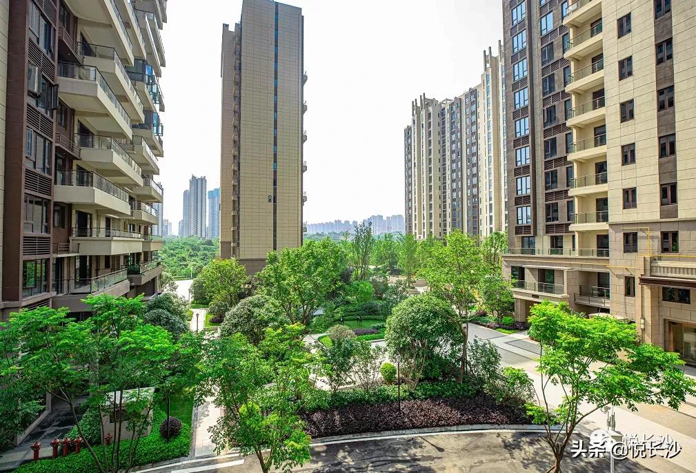 坚挺！高铁西限价首次破万！7字头现房大平层，踩在风口上