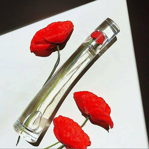 小白香水测评视频,汽车香水选购注意什么