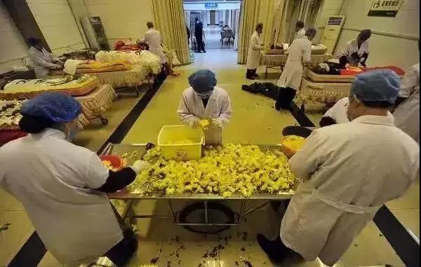 大学最冷门偏冷专业,被冷门专业录取了