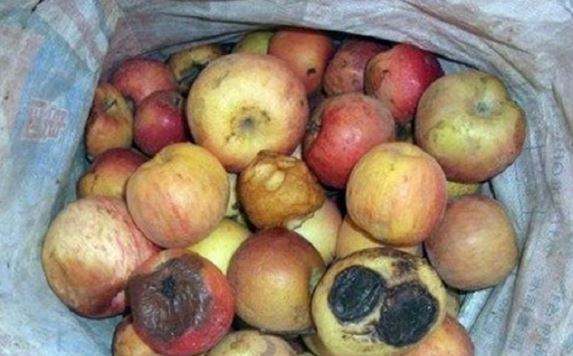 老人怎样食苹果最健康及禁忌,老人家可以吃苹果吗