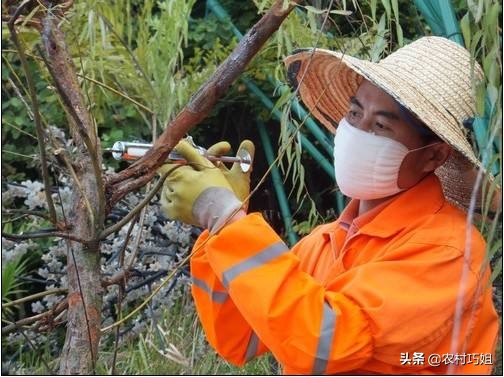 果树打针输液器,果树打针怎么打