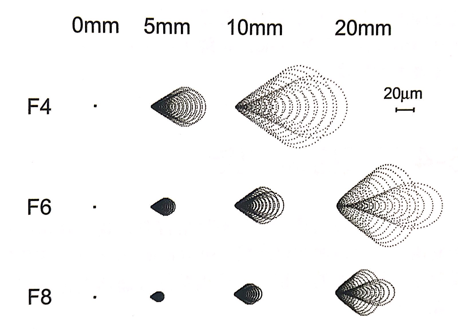 星野赤道仪可以接望远镜吗,初入门天文望远镜教程