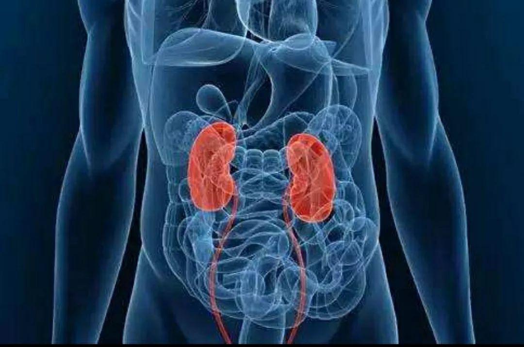 阿根廷出血热症状表现,阿根廷出血热临床表现