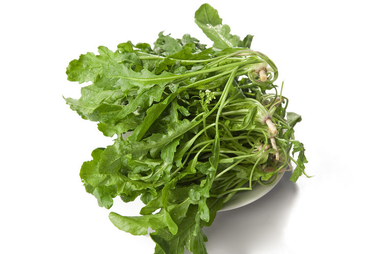 哪种野菜不适合孕妇吃,有中药成分的野菜孕妇可以吃吗