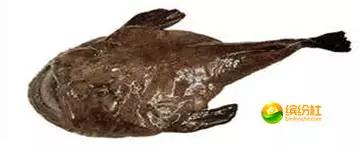 舟山海鲜攻略2天3晚吃什么,舟山海鲜代加工攻略