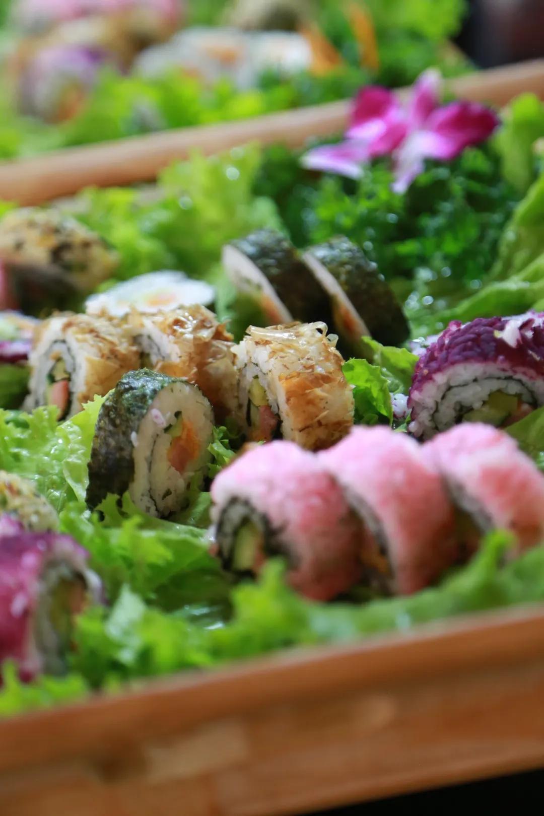 闈掑矝鏃呮父缃戠孩缇庨鎵撳崱鎺ㄨ崘,娴锋磱鍔ㄧ墿娴峰簳涓栫晫鎵撳崱