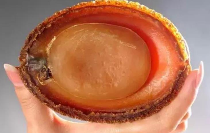 世界鲍鱼品种大全，你若知道其中5种，我叫你三声大哥