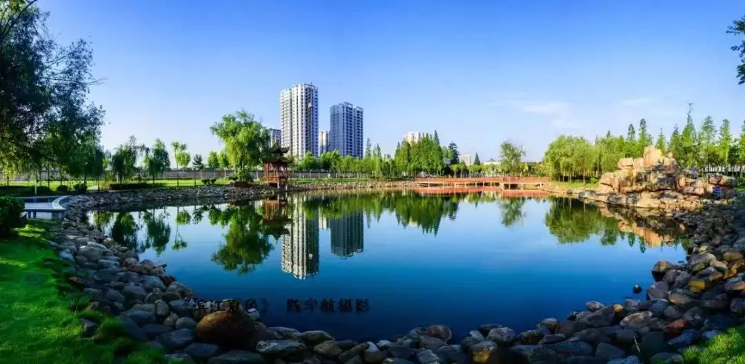 陈孝平院士,陈孝平院士博士生